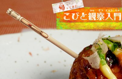 「帰ってきたこびと観察入門」シリーズ「ナニワタコヨウジン編」を制作しました